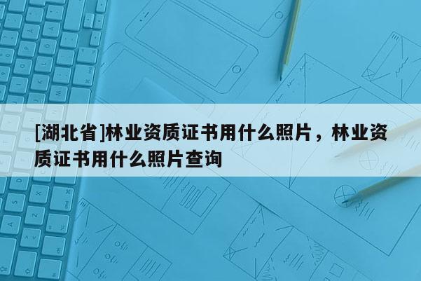 [湖北省]林業(yè)資質(zhì)證書用什么照片，林業(yè)資質(zhì)證書用什么照片查詢