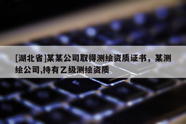 [湖北省]某某公司取得測繪資質(zhì)證書，某測繪公司,持有乙級測繪資質(zhì)