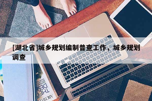 [湖北省]城鄉規劃編制普查工作，城鄉規劃調查