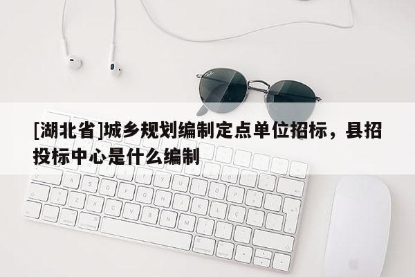 [湖北省]城鄉規劃編制定點單位招標，縣招投標中心是什么編制