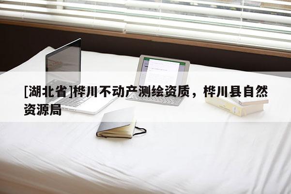 [湖北省]樺川不動產測繪資質，樺川縣自然資源局