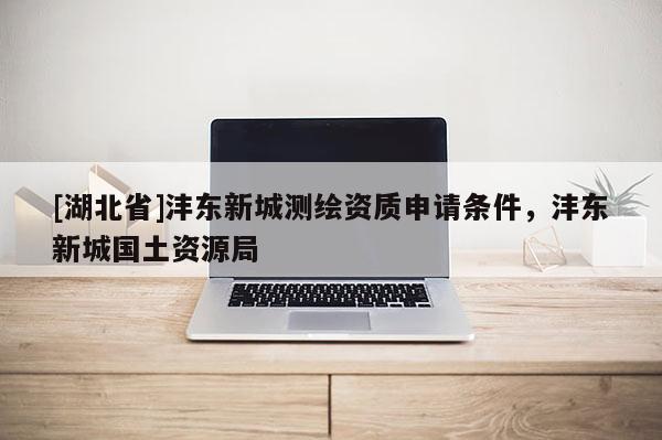 [湖北省]灃東新城測繪資質申請條件，灃東新城國土資源局