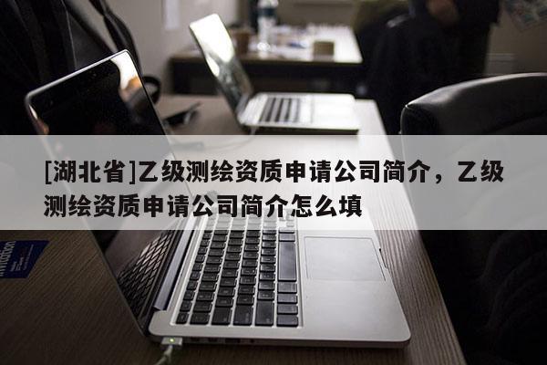 [湖北省]乙級測繪資質申請公司簡介，乙級測繪資質申請公司簡介怎么填