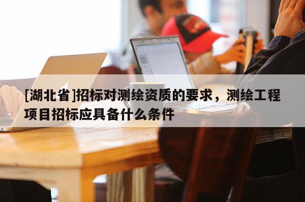 [湖北省]招標對測繪資質的要求，測繪工程項目招標應具備什么條件