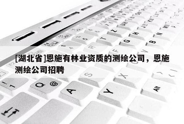 [湖北省]恩施有林業資質的測繪公司，恩施測繪公司招聘