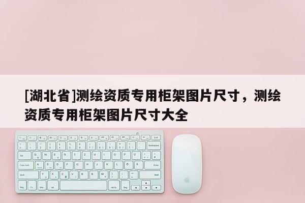[湖北省]測繪資質專用柜架圖片尺寸，測繪資質專用柜架圖片尺寸大全