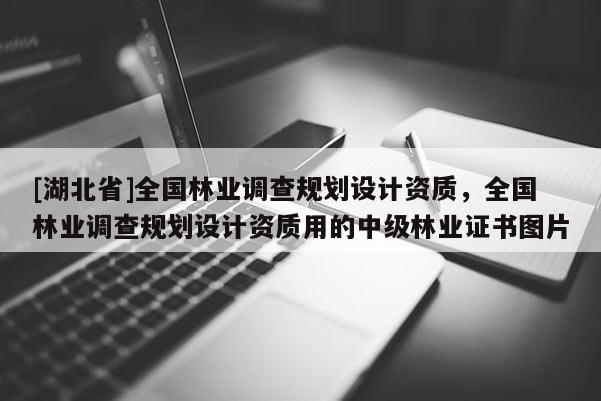 [湖北省]全國林業調查規劃設計資質，全國林業調查規劃設計資質用的中級林業證書圖片