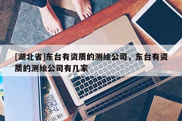 [湖北省]東臺(tái)有資質(zhì)的測(cè)繪公司，東臺(tái)有資質(zhì)的測(cè)繪公司有幾家