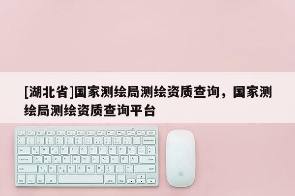 [湖北省]國家測繪局測繪資質查詢，國家測繪局測繪資質查詢平臺