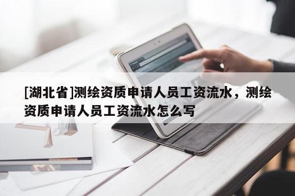 [湖北省]測繪資質申請人員工資流水，測繪資質申請人員工資流水怎么寫
