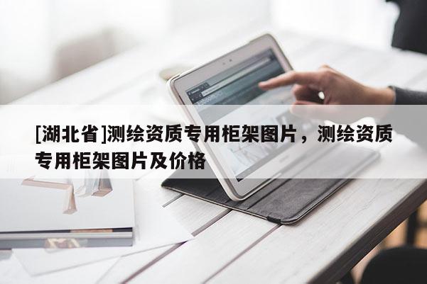 [湖北省]測繪資質專用柜架圖片，測繪資質專用柜架圖片及價格
