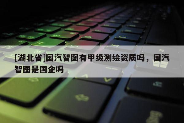 [湖北省]國(guó)汽智圖有甲級(jí)測(cè)繪資質(zhì)嗎，國(guó)汽智圖是國(guó)企嗎