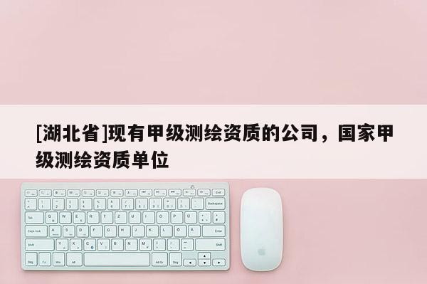 [湖北省]現(xiàn)有甲級測繪資質(zhì)的公司，國家甲級測繪資質(zhì)單位