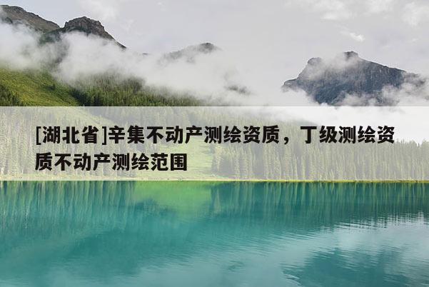 [湖北省]辛集不動產(chǎn)測繪資質(zhì)，丁級測繪資質(zhì)不動產(chǎn)測繪范圍
