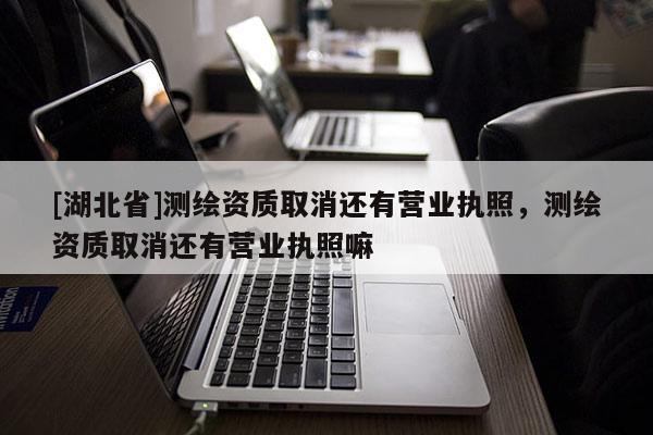 [湖北省]測繪資質取消還有營業執照，測繪資質取消還有營業執照嘛