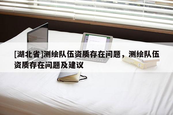 [湖北省]測繪隊(duì)伍資質(zhì)存在問題，測繪隊(duì)伍資質(zhì)存在問題及建議