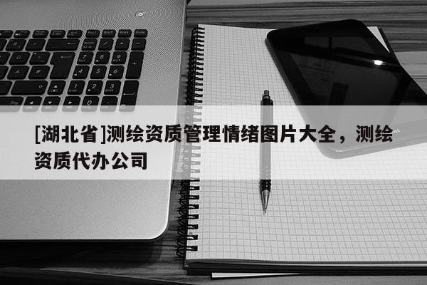 [湖北省]測繪資質管理情緒圖片大全，測繪資質代辦公司