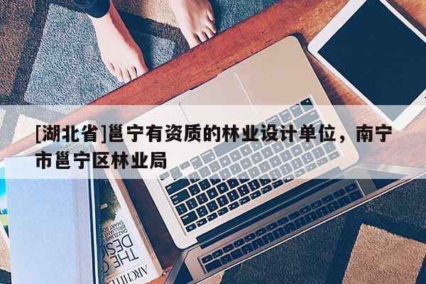 [湖北省]邕寧有資質的林業設計單位，南寧市邕寧區林業局