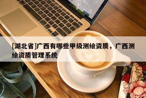 [湖北省]廣西有哪些甲級測繪資質，廣西測繪資質管理系統