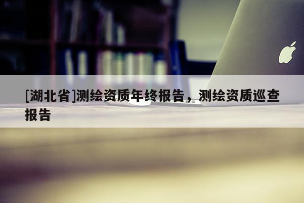 [湖北省]測繪資質年終報告，測繪資質巡查報告