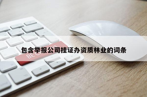 包含舉報公司掛證辦資質林業的詞條