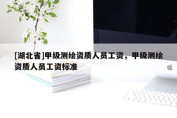 [湖北省]甲級測繪資質人員工資，甲級測繪資質人員工資標準