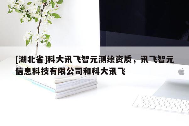 [湖北省]科大訊飛智元測繪資質，訊飛智元信息科技有限公司和科大訊飛