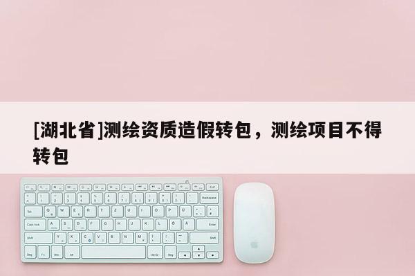 [湖北省]測(cè)繪資質(zhì)造假轉(zhuǎn)包，測(cè)繪項(xiàng)目不得轉(zhuǎn)包