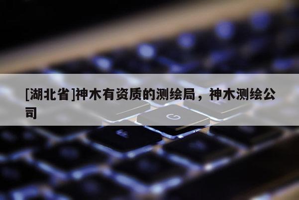 [湖北省]神木有資質的測繪局，神木測繪公司