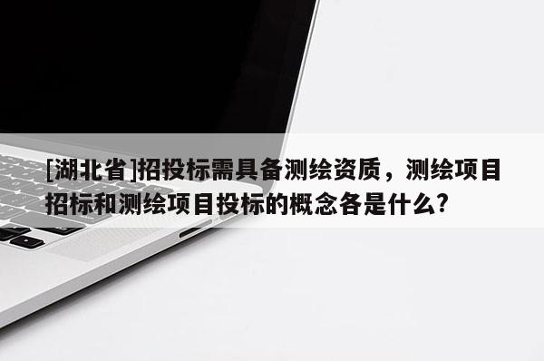 [湖北省]招投標需具備測繪資質，測繪項目招標和測繪項目投標的概念各是什么?