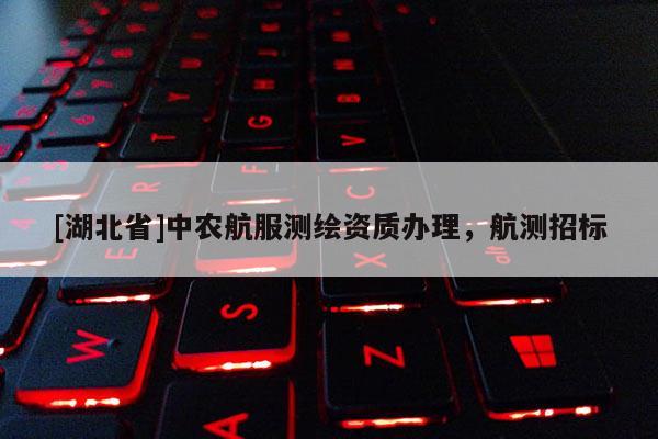 [湖北省]中農航服測繪資質辦理，航測招標