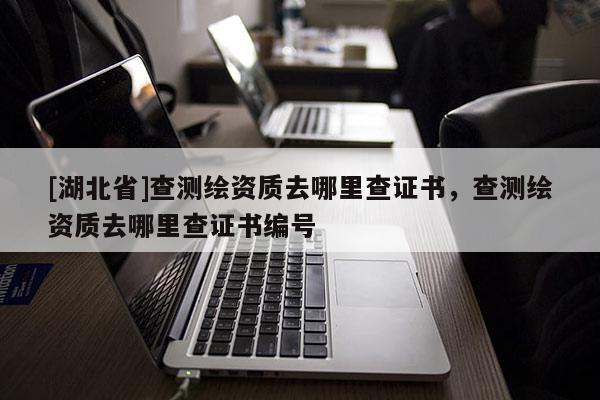 [湖北省]查測繪資質去哪里查證書，查測繪資質去哪里查證書編號