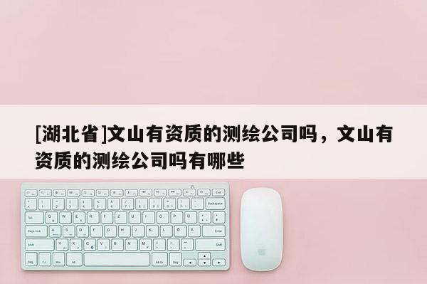 [湖北省]文山有資質的測繪公司嗎，文山有資質的測繪公司嗎有哪些
