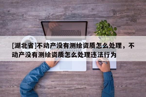 [湖北省]不動產沒有測繪資質怎么處理，不動產沒有測繪資質怎么處理違法行為