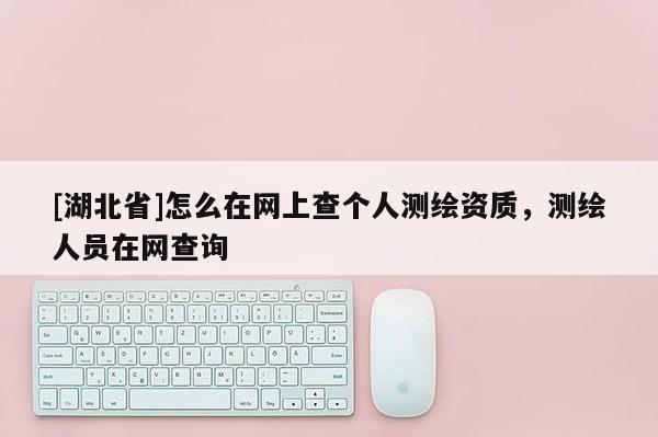 [湖北省]怎么在網(wǎng)上查個人測繪資質(zhì)，測繪人員在網(wǎng)查詢