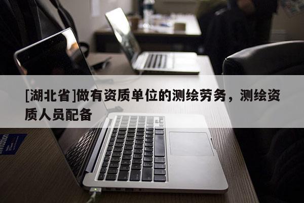 [湖北省]做有資質單位的測繪勞務，測繪資質人員配備