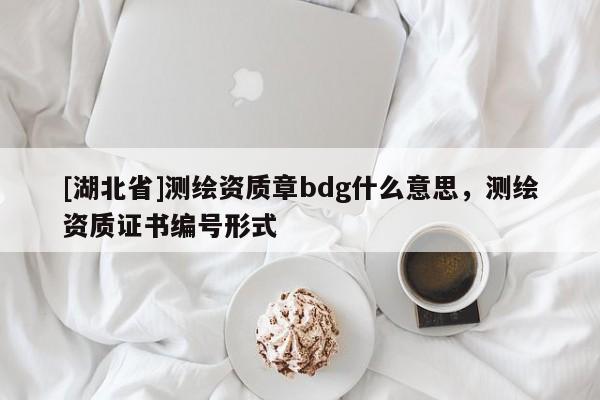[湖北省]測繪資質章bdg什么意思，測繪資質證書編號形式