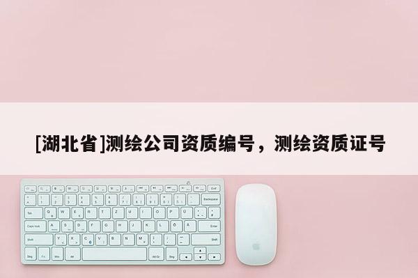 [湖北省]測繪公司資質(zhì)編號，測繪資質(zhì)證號