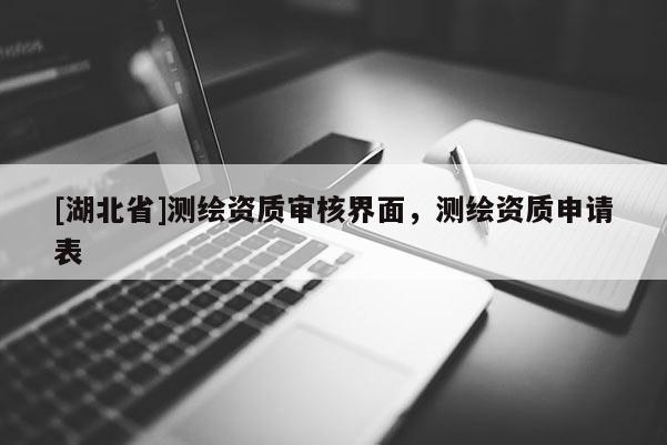 [湖北省]測(cè)繪資質(zhì)審核界面，測(cè)繪資質(zhì)申請(qǐng)表