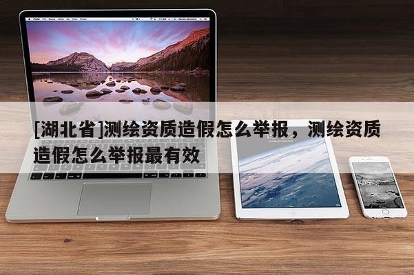 [湖北省]測繪資質造假怎么舉報，測繪資質造假怎么舉報最有效