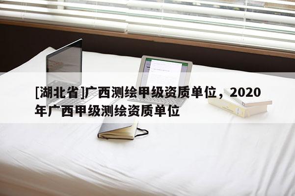 [湖北省]廣西測繪甲級資質單位，2020年廣西甲級測繪資質單位