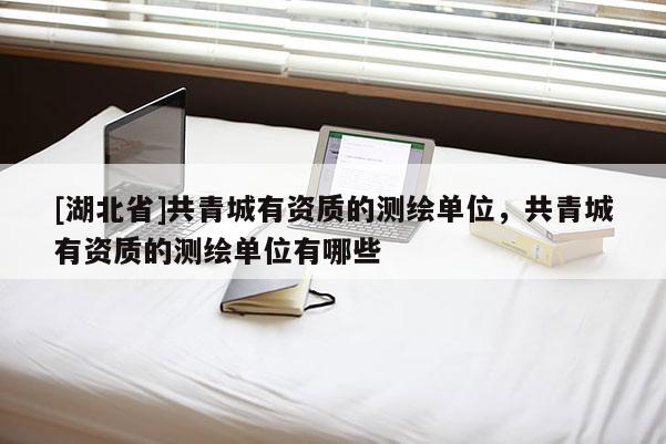 [湖北省]共青城有資質(zhì)的測繪單位，共青城有資質(zhì)的測繪單位有哪些