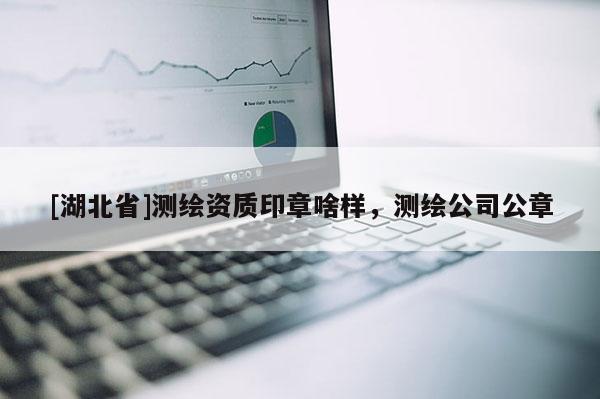 [湖北省]測繪資質印章啥樣，測繪公司公章