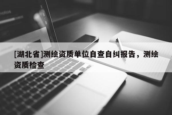 [湖北省]測繪資質單位自查自糾報告，測繪資質檢查