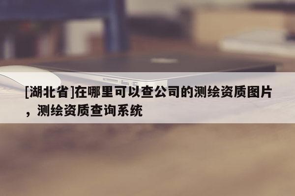 [湖北省]在哪里可以查公司的測繪資質圖片，測繪資質查詢系統