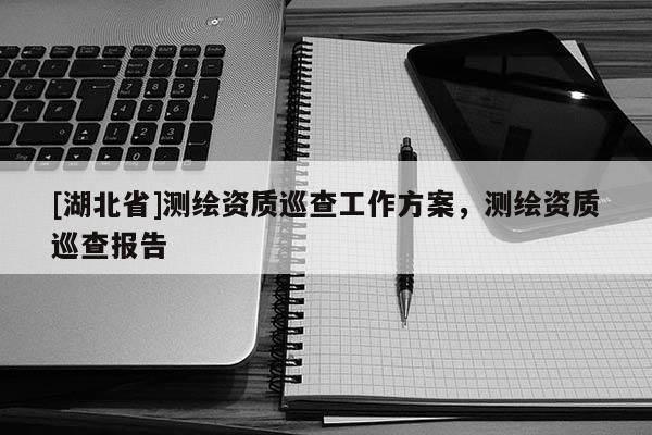 [湖北省]測繪資質(zhì)巡查工作方案，測繪資質(zhì)巡查報告