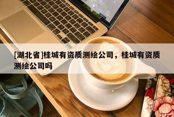 [湖北省]桂城有資質測繪公司，桂城有資質測繪公司嗎