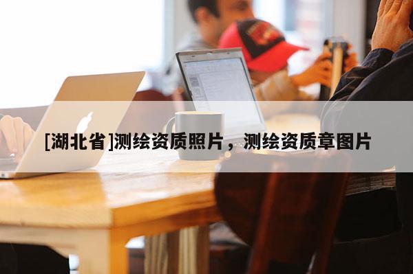 [湖北省]測繪資質照片，測繪資質章圖片