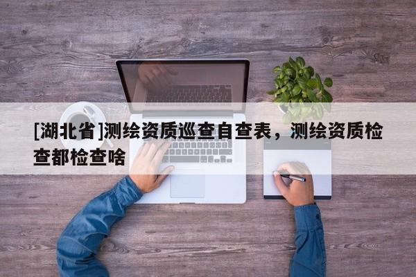 [湖北省]測繪資質巡查自查表，測繪資質檢查都檢查啥