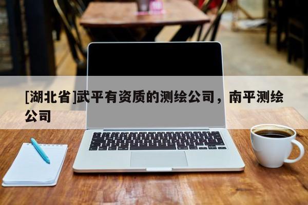 [湖北省]武平有資質(zhì)的測繪公司，南平測繪公司